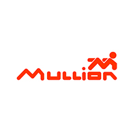 Mullion