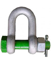 Dee shackle with safety bolt