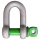 Dee shackle with screw pin