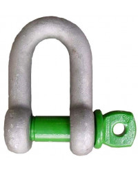 Dee shackle with screw pin