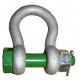 Bow shackle with safety bolt