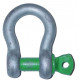 Bow shackle with screw pin