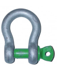 Bow shackle with screw pin