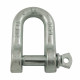 Standard dee shackle with screw pin