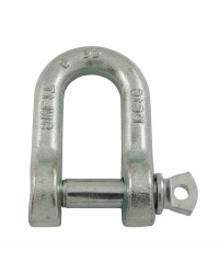 Standard dee shackle with screw pin