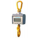 Tractel Dynafor MWX crane scale